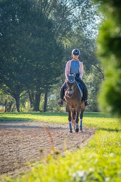 Lac de Maine Equitation